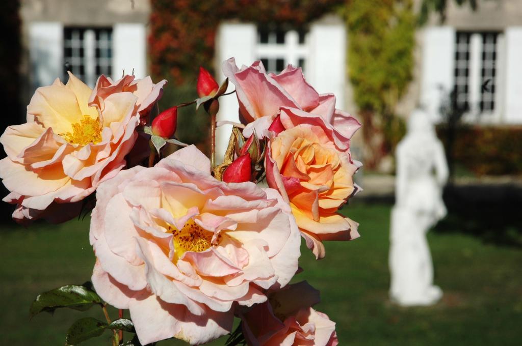 Bed and Breakfast Domaine De La Queyssie Saussignac Екстер'єр фото