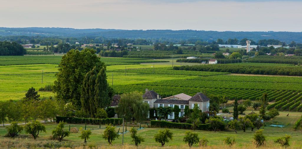 Bed and Breakfast Domaine De La Queyssie Saussignac Екстер'єр фото